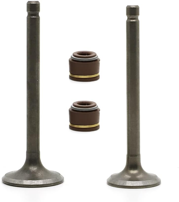 INTAKE EXHAUST VALVES AND VALVE SEAL YAMAHA YFM80R RAPTOR 22K-12111-03-00