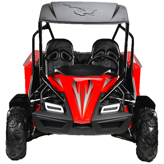 Hammerhead™ GTS150 LE Off-Road Buggy