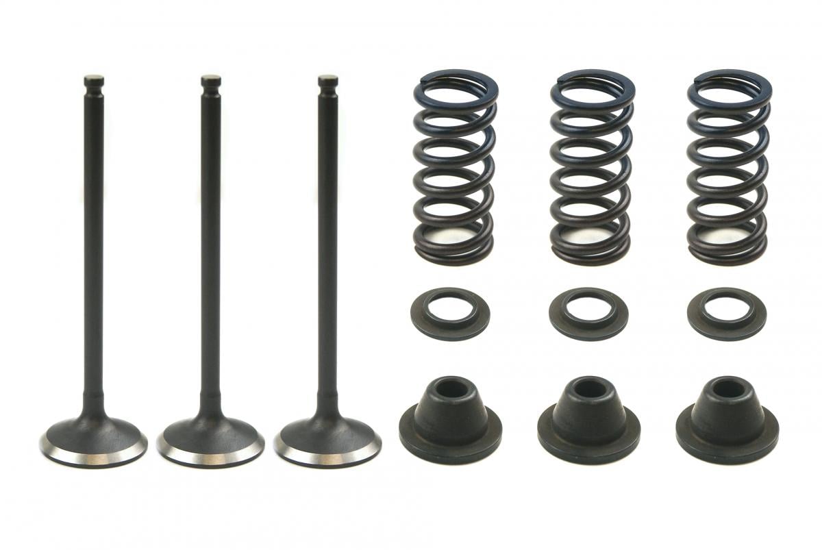 Valve Kit Intake YZF250 Gasgas, Psychic XU-09519IK