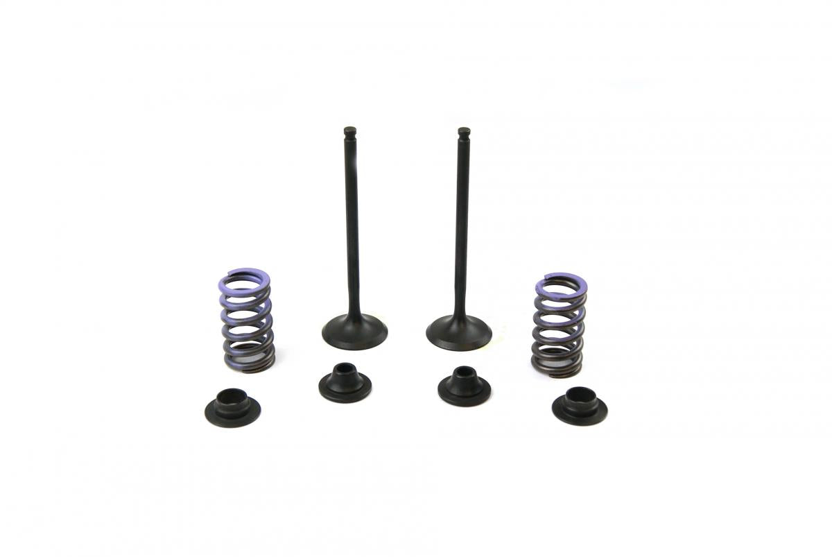 VALVE KIT EXHAUST YZF 14-17, PSYCHIC XU-09553EK