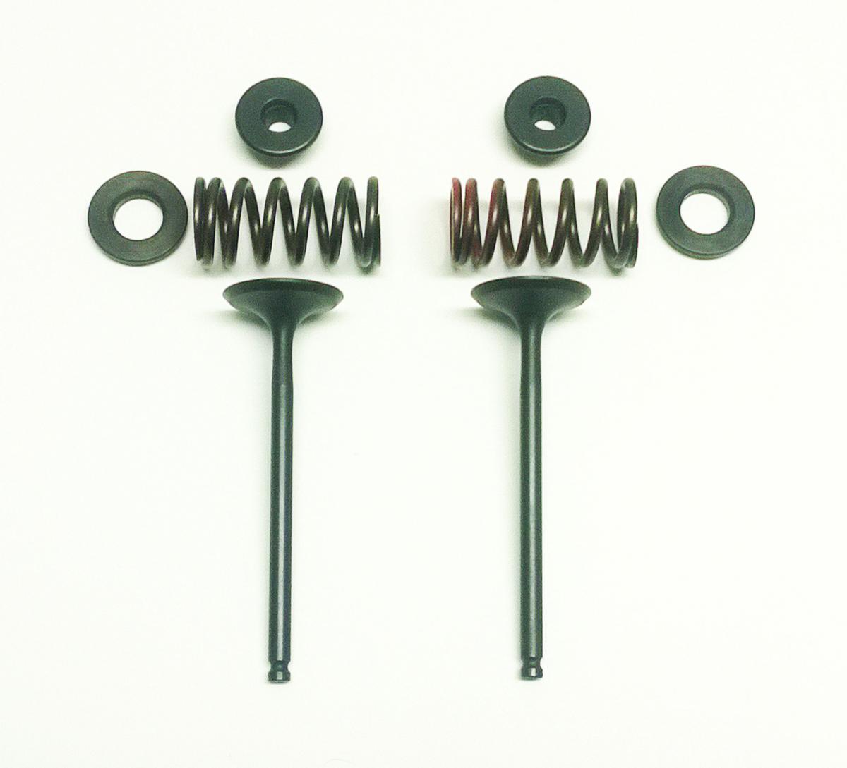 VALVE KIT EXHAUST WRF250 01-09, PSYCHIC XU-09522EK