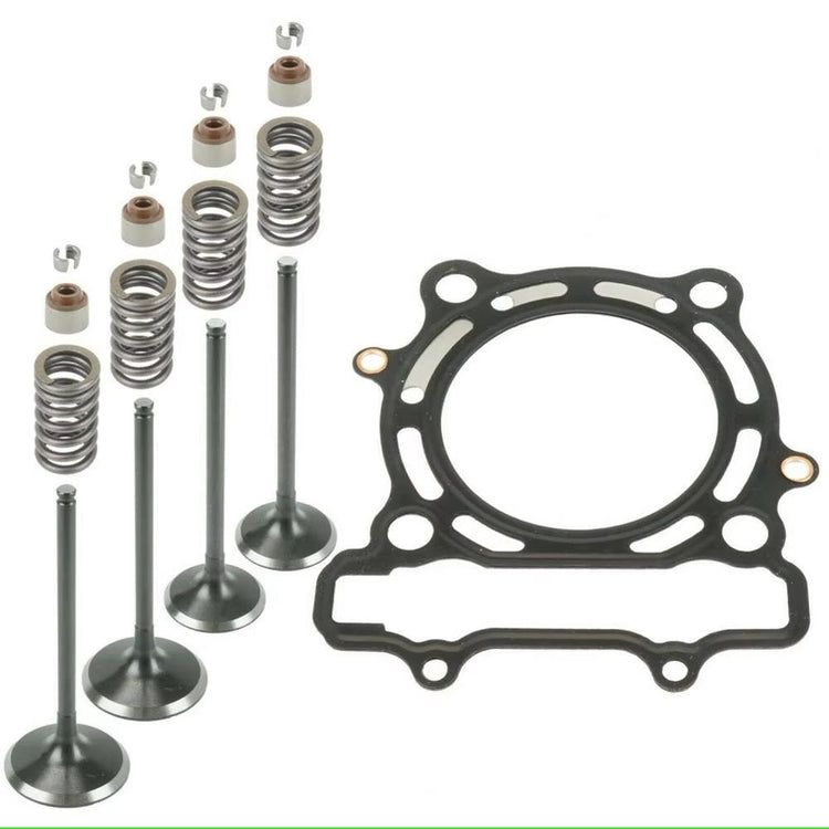 Valves & Springs & Guide