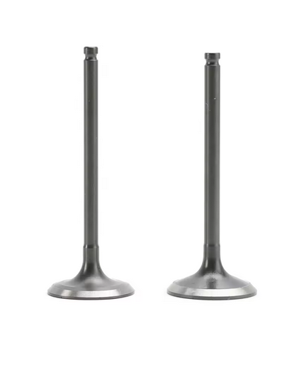Dirt Racing Intake & Exhaust Valve Kit 20PCS Yamaha WR450F YZ450F YFZ450 5TA-12112-00 5TA-12121-00