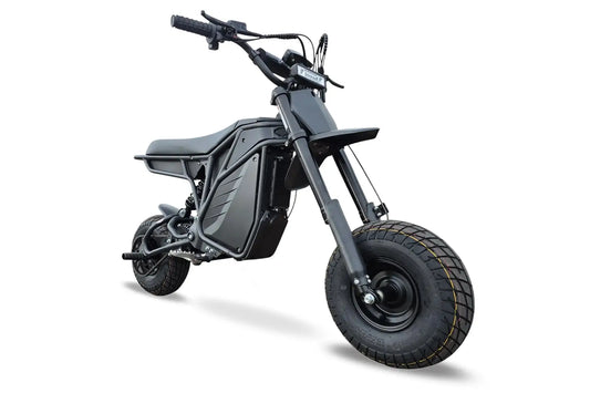 Electro & Co The Rizzler Electric Mini Bike | 5kW | 60V Brushless | Built for Stunts