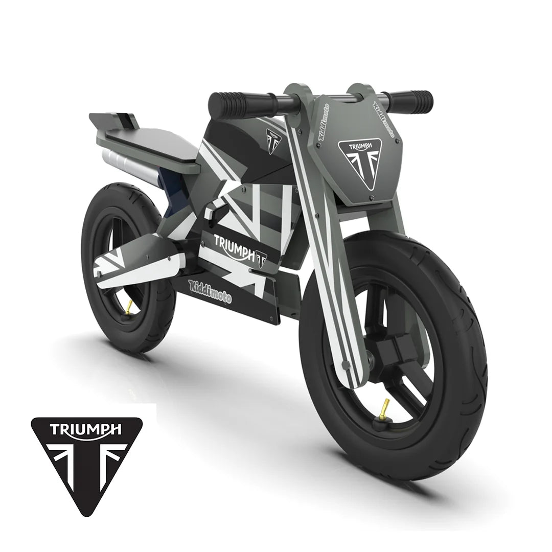 Ducati Desmo GP25 Official Balance Bike