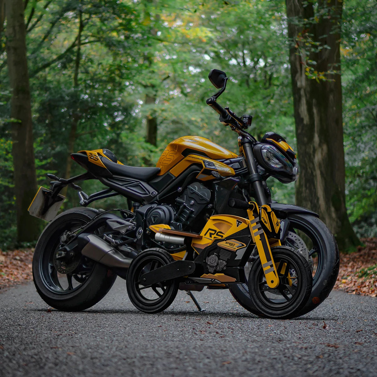 Triumph RS1200 Official Balance Bike