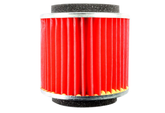 Filtrex Standard Air Filter - Yamaha