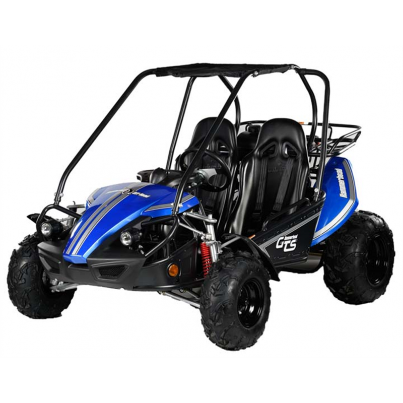 Hammerhead™ GTS150 Off-Road Buggy Black