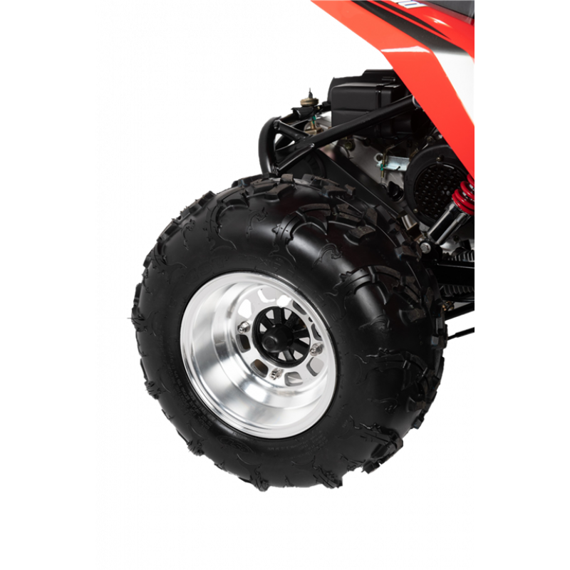Hammerhead™ GTS150 LE Off-Road Buggy
