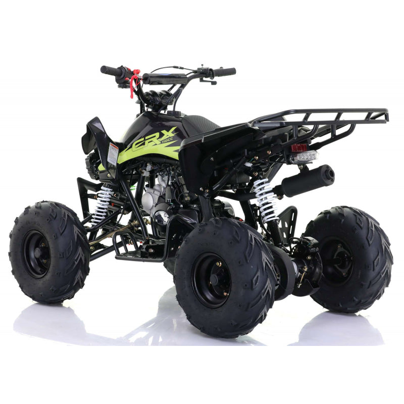 Panther 110cc Kids Quad Bike – Blue