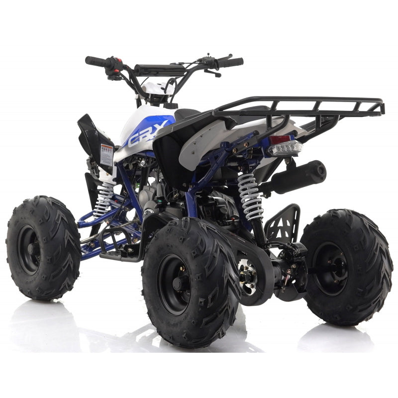 Panther 110cc Kids Quad Bike – Blue