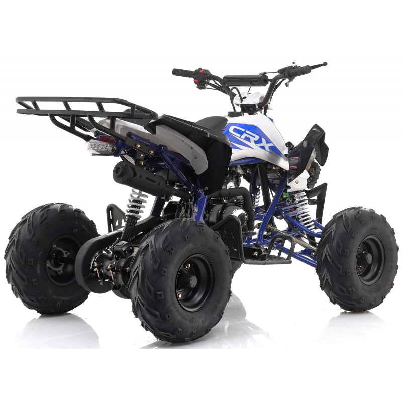 Panther 110cc Kids Quad Bike – Blue