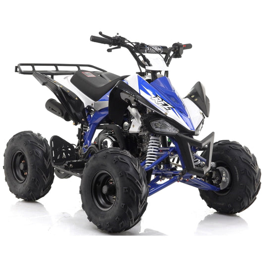 Panther 110cc Kids Quad Bike – Blue