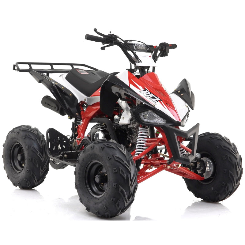 Panther 110cc Kids Quad Bike – Blue