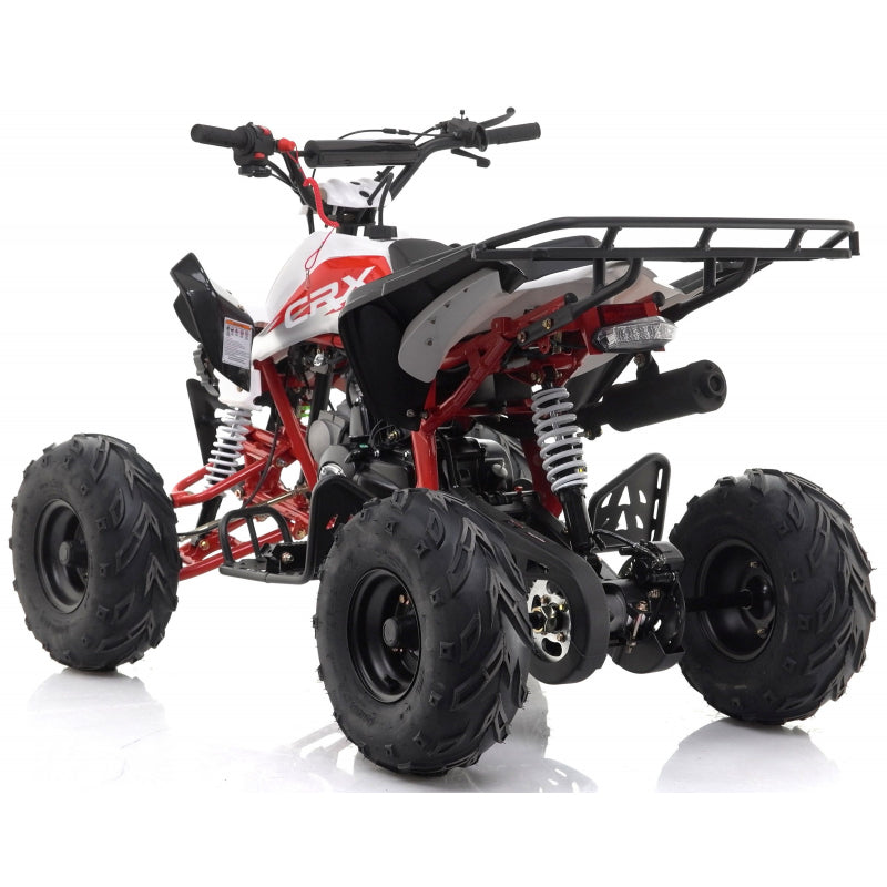 Panther 110cc Kids Quad Bike – Blue