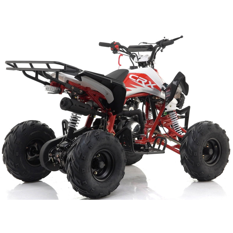 Panther 110cc Kids Quad Bike – Blue