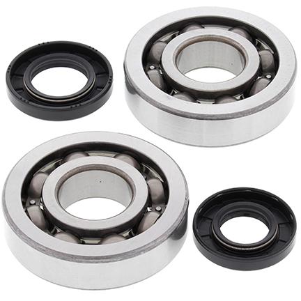 All Balls Racing Crankshaft Bearing & Seal Kit, Allballs 24-1047 KX250 02-07