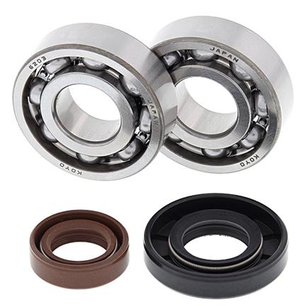 All Balls Racing Crankshaft Bearing & Seal Kit, Allballs 24-1101 KTM 50 SX 06