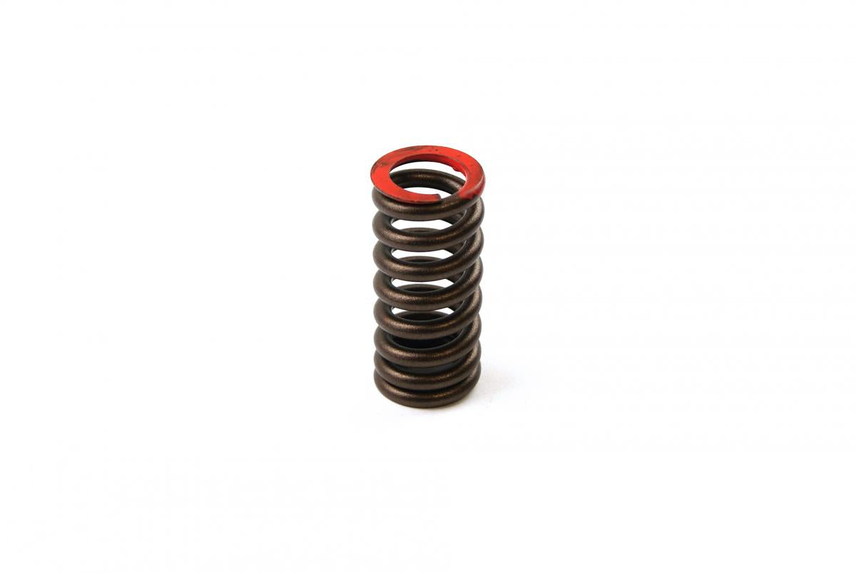Dirt Racing Spring Valve Ex CRF250 08-09