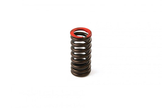 Dirt Racing Spring Valve Ex CRF250 08-09