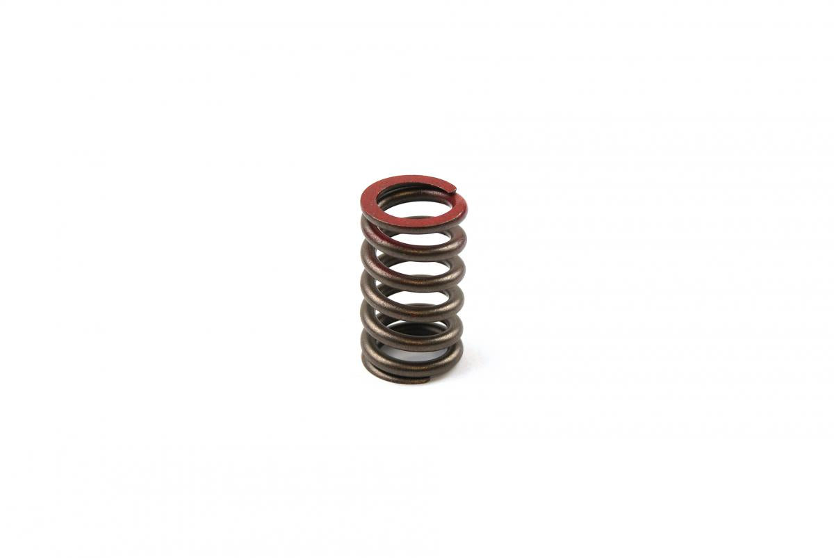 Dirt Racing Spring Valve Exhaust KXF450, 49078-0018