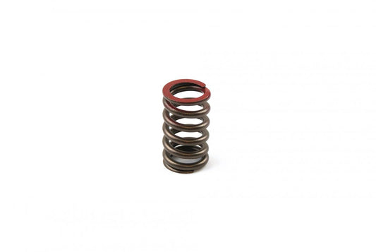 Dirt Racing Spring Valve Exhaust KXF450, 49078-0018