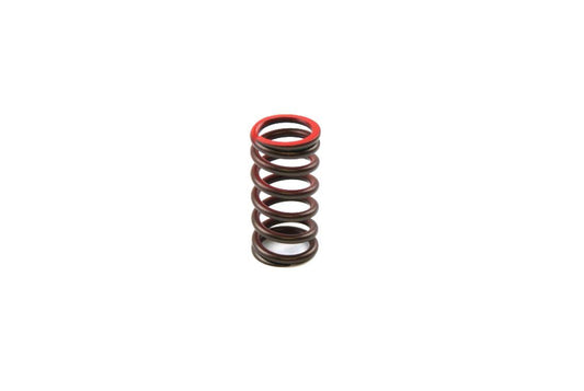 Dirt Racing Spring Valve Ex YZF250 01-14, 5NL-12114-10-00 Exhaust Gasgas, XU-09519ES