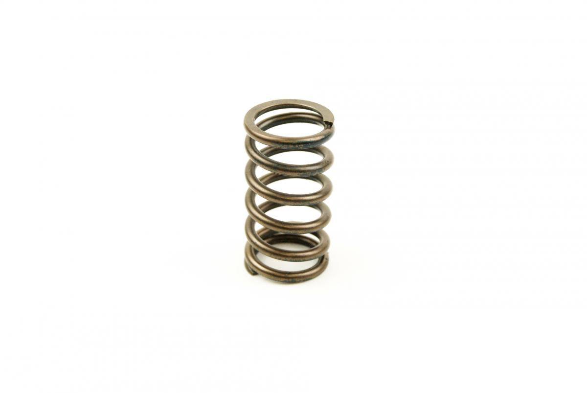 Advanced Sleeve Spring Valve In/Ex YZF450 3-09