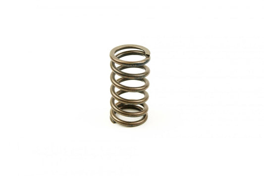 Advanced Sleeve Spring Valve In/Ex YZF450 3-09