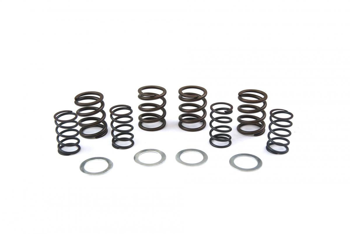 Spring Valve Kit, XR500/600, Kibblewhite 30-4081, 460 Lift