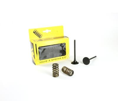 KIT EX VALVE+SPRING KTM350, PROX 28.SES6353-1 EXHAUST