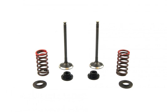 Valve Kit Exhaust YZF250 Gasga, Psychic XU-09519EK