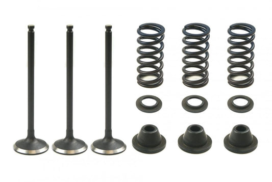 Valve Kit Intake YZF250 Gasgas, Psychic XU-09519IK