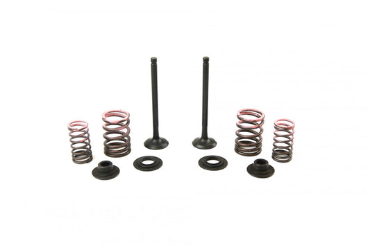 VALVE KIT EXHAUST CRF110F, PSYCHIC XU-09558EK