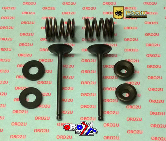 Valve Kit Intake CRF110F, Psychic XU-09558IK
