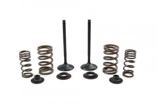 Valve Kit Exhaust CRF450X, Psychic XU-09503EK 05-17