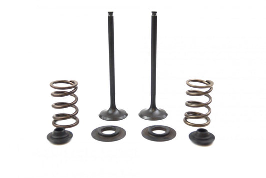 Valve Kit Exhaust KTM Husaberg, Psychic XU-09551EK