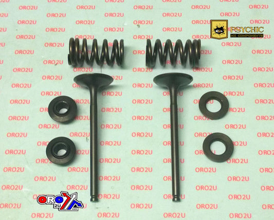 Valve Kit Exhaust 12-19 KTM Husqvarna Husaberg Exc-f FE Xcf-w 350 Psychic XU-09555EK