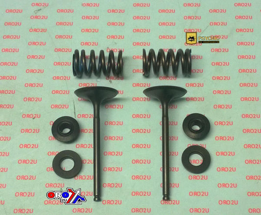 Valve Kit Intake KTM Husky, Psychic XU-09556IK