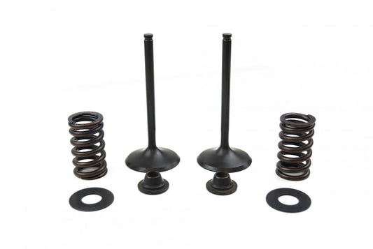 Valve Kit Intake KX450F, Psychic XU-09164IK 06-08