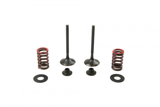 Valve Kit Exhaust KX450F, Psychic XU-09528EK 09-15