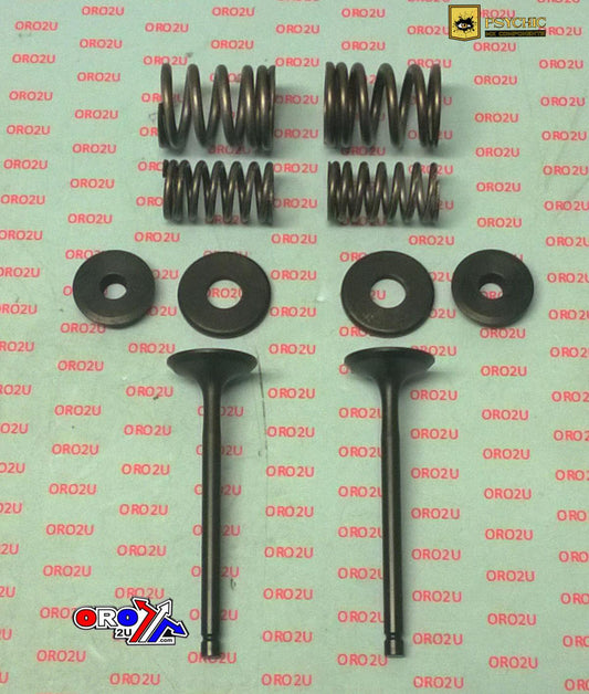 VALVE KIT EXHAUST TT-R225, PSYCHIC XU-09518EK XT225