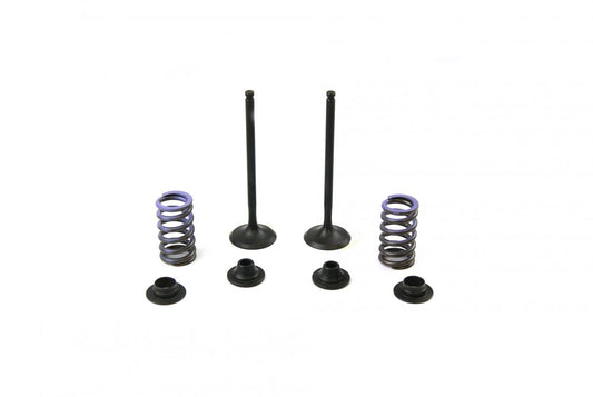 VALVE KIT EXHAUST YZF 14-17, PSYCHIC XU-09553EK