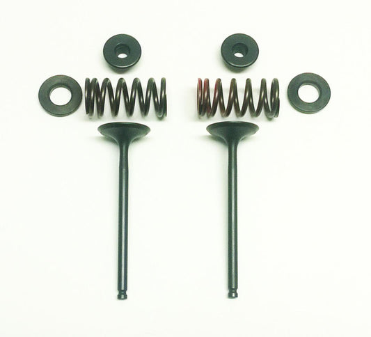 VALVE KIT EXHAUST WRF250 01-09, PSYCHIC XU-09522EK