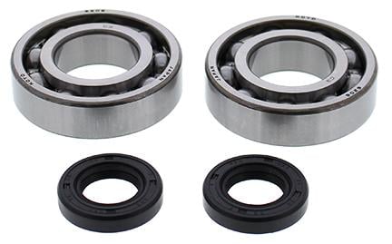 All Balls Racing Crankshaft Bearing & Seal Kit Beta, Allballs 24-1123