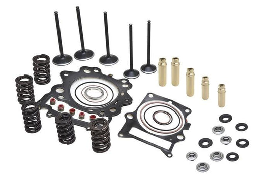 Cylinder Head Service Kit, Kibblewhite 80-82390, Springs Valves Head Gaskets